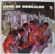 画像1: RAY TERRACE / HOME OF BOOGALOO (1)