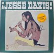 画像1: JESSE DAVIS / SAME'70  (1)