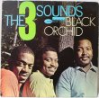 画像1: THE 3 SOUNDS / BLACK ORCHID (1)