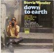 画像1: STEVIE WONDER / DOWN TO EARTH (1)