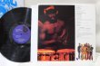 画像2: ALPHONSE MOUZON / MIND TRANSPLANT (2)