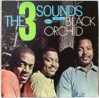 画像1: THE 3 SOUNDS / BLACK ORCHID (1)