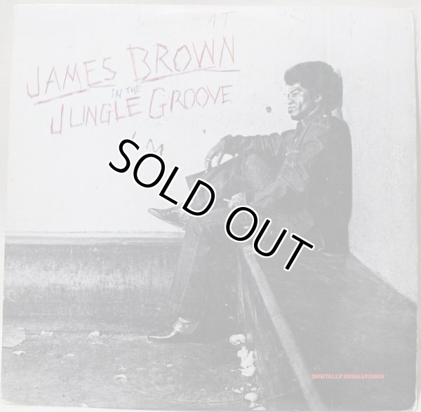 画像1: James Brown / In The Jungle Groove (1)