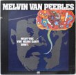 画像1: Melvin Van Peebles / What The . . . . You Mean I Can't Sing?! (1)