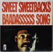 画像1: Melvin Van Peebles / Sweet Sweetback's Baadasssss Song / Germany (1)