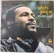 画像1: Marvin Gaye / What's Going On (1)