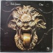 画像1: Bob James / One (1)