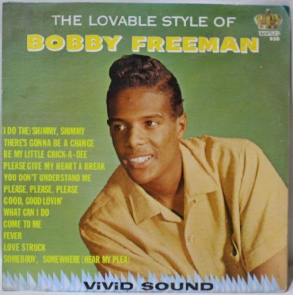 画像1: Bobby Freeman / The Lovable Style Of Bobby Freeman (1)