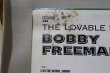 画像7: Bobby Freeman / The Lovable Style Of Bobby Freeman (7)