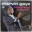 画像1: Marvin Gaye / I Heard It Through The Grapevine! (1)