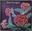 画像1: Todd Rundgren / Something / Anything? (1)