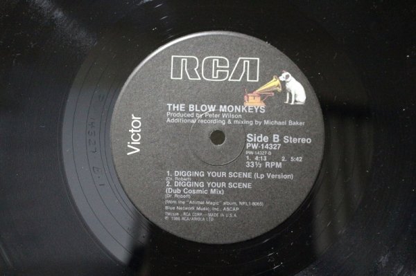 画像2: The Blow Monkeys / Digging Your Scene / 12" (2)