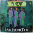 画像1: Dee Felice Trio / In Heat  (1)