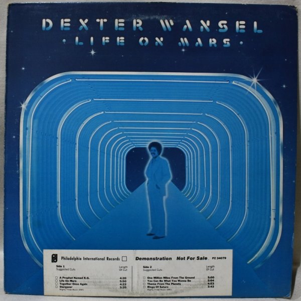 画像1: Dexter Wansel / Life On Mars / Promo White Label (1)