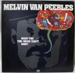 画像1: Melvin Van Peebles / What The . . . . You Mean I Can't Sing?! / Promo Sheet (1)