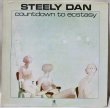 画像1: Steely Dan / Countdown To Ecstasy (1)