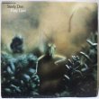 画像1: Steely Dan / Katy Lied / Reissue (1)