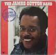 画像1: The James Cotton Band / 100% Cotton (1)