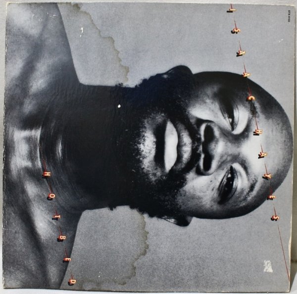 画像1: Isaac Hayes / Hotbed (1)