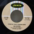 画像1: The Meters / Stretch Your Rubber Band / Groovy Lady / 7"Single (1)