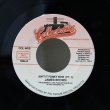 画像1: James Brown / Ain't It Funky Now / 7"Single (1)