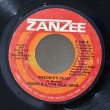 画像1: Pucho & Latin Soul Bros. / Freddie's Dead / One More Day / 7"Single (1)