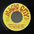 画像1: Mad Dog & The Pups / Bring It To The Light / Funkey Monkey / 7"Single (1)