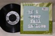 画像2: Shai / If I Ever Fall In Love / 7"Single (2)