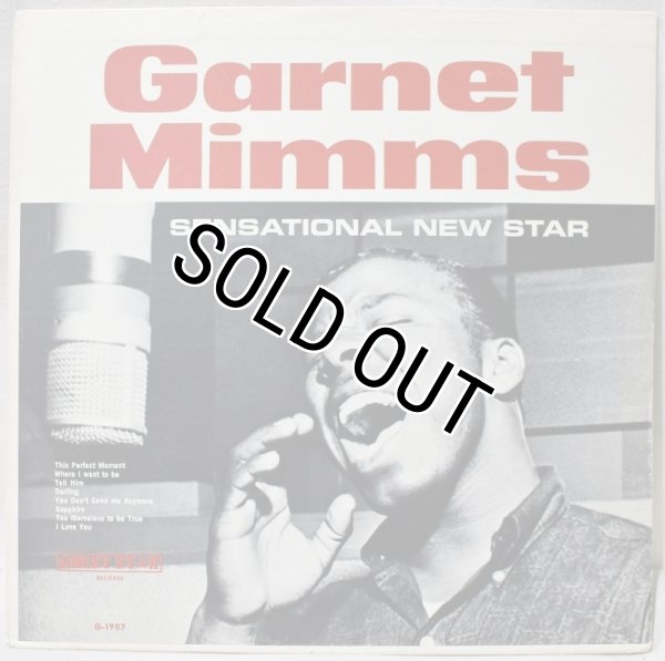 画像1: Garnet Mimms / Sensational New Star (1)
