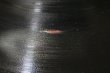 画像4: Grant Green / Alive! / B-1針飛び補修 (4)