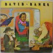 画像1: David Banks / I Used To Be A Bus Driver (1)