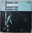 画像1: Jimmy Forrest / Forrest Fire (1)