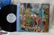 画像2: Funkadelic / Let's Take It To The Stage (2)