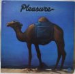 画像1: Pleasure / Dust Yourself Off (1)