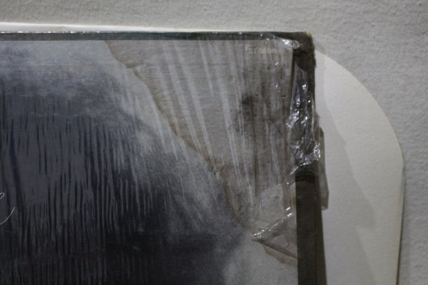 画像5: Freda Payne / The Best Of (5)