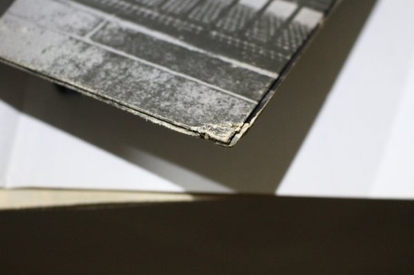 画像5: Neil Young / After The Gold Rush (5)