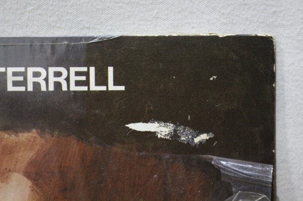 画像4: Marvin Gaye & Tammi Terrell / Easy (4)