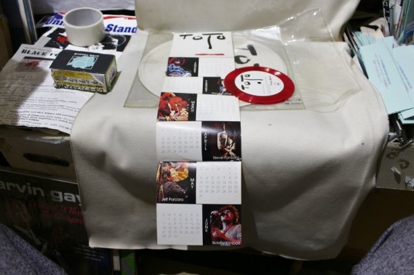 画像5: Toto / Turn Back / Picture Disc (5)