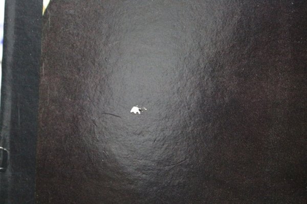 画像5: Bobby Womack / I Don't Know What The World Is Coming To (5)