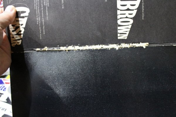 画像6: James Brown / Black Caesar (6)