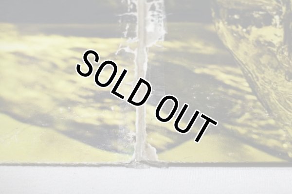 画像5: Joe Thomas / Feelin's From Within (5)